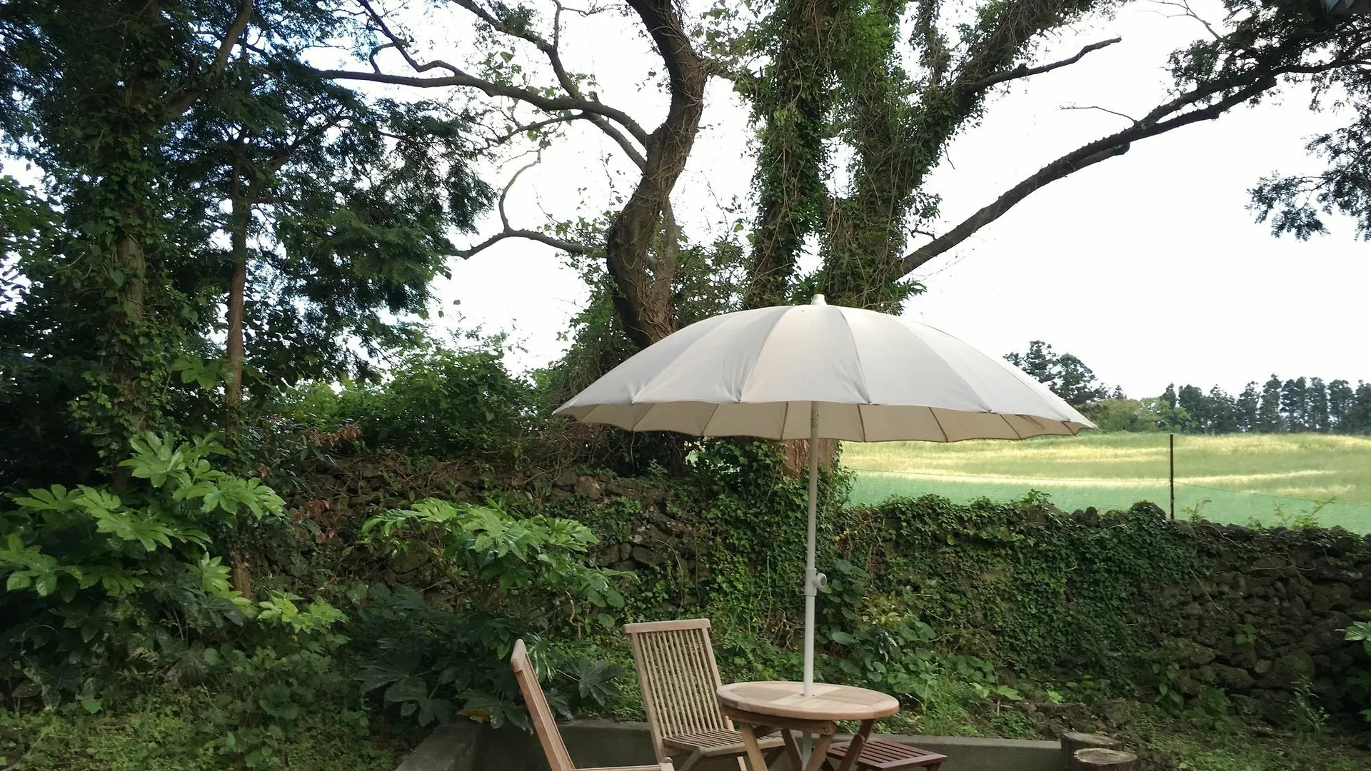 펜션 Meditators' House 제주 대한민국