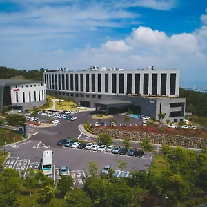 济州乱打酒店 济州市
